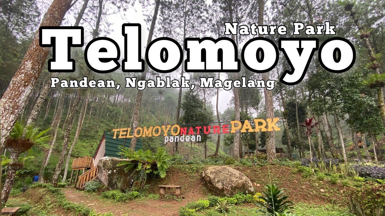 Telomoyo Nature Park: Petualangan Menakjubkan di Puncak Jawa Tengah